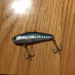 Salvage 60ES(中古)
