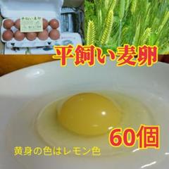 【かっちゃん様さ専用】ガチョウの食用卵　10個セット ガチョウの食用卵 10個セット - メルカリ