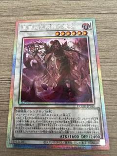 黒薔薇と荊棘の魔女　プリズマ