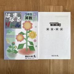 はなまるリトル 3年生 算数