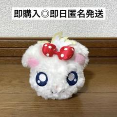 【希少】とっとこハム太郎 ラズリーちゃん ぬいぐるみ はむはむぱらだいちゅ！