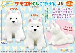 くったりサモエドくん JB Amazon.co.jp: くったりサモエドくんごきげん LMCぬいぐるみ