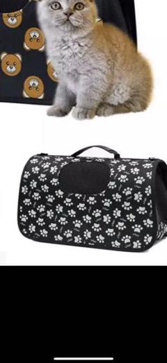 小型犬、猫用キャリーバッグ お値下げしました