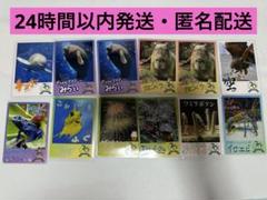 鳥羽水族館 70周年 コレクションカード - メルカリ