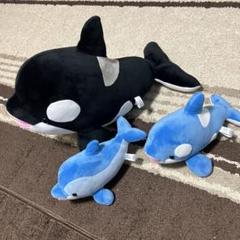 蓄光 イルカ ぬいぐるみ 須磨シーワールド セット - メルカリ