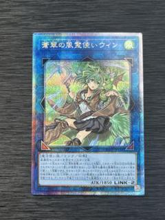 遊戯王【英語版】蒼翠の風霊使いウィン 25thシク クオシク