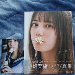 ひなこい 日向坂　小坂菜緒　かれし証明証 エアメール風ポストカード ひなこい 日向坂 小坂菜緒 かれし証明証 エアメール風ポスト
