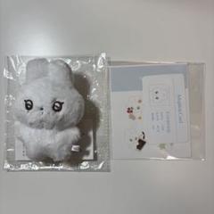 NCT WISH NCTWISH シオン ぬいぐるみ マスター NCT WISH シオン WISH DOLL ぬいぐるみ STEADY ① - メルカリ