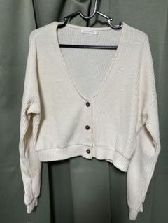 WEGO STANDARD アイボリー Vネックニット F
