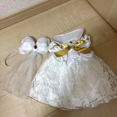 白雪姫 クラウディア ユニベアシティ コスチューム UniBEARsity 白雪姫のプリンセスユニベアシティ！ディズニーストア『Disney