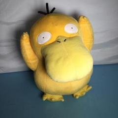 ポケットモンスター・めちゃでかコダックぬいぐるみ