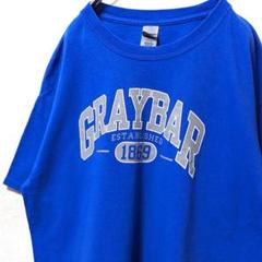 ギルダン グレーバー 1869 ロゴ Tシャツ ブルー 青 L 古着