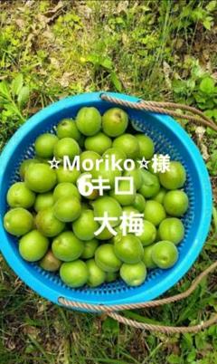 ⭐︎Moriko⭐︎様　大玉　６キロ　徳島神山産　青梅 ⭐︎Moriko⭐︎様 6キロ 大玉 徳島神山産 青梅 - メルカリ