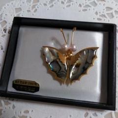 近代蒔絵 ペンダントトップ ブローチ 2WAY てんとう虫 うるしアート 螺鈿 近代蒔絵 ペンダントトップ ブローチ 2WAY てんとう虫 うるし