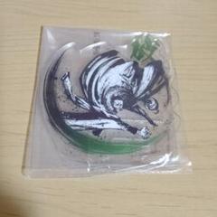 ワンピースクロコダイル