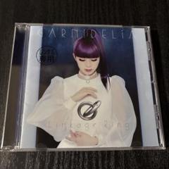 GARNiDELiA CD・DVD コレクションセット Amazon.co.jp: Error(初回生産限定盤)(DVD付): ミュージック