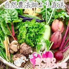 無農薬 自然栽培のお野菜 お試しセット 1