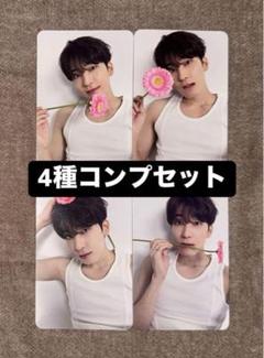 殿堂 ウォヌ seventeen セブチ DEAR 封入トレカ 4種コンプセット タレントカード