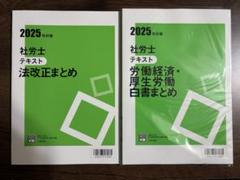 【新品】 2025年 社労士試験 法改正まとめ & 労働経済・厚生労働白書まとめ