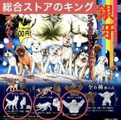 【中古】 銀牙 流れ星銀 赤カブト最終激闘編３/集英社 銀牙 8 ―流れ星 銀― (集英社文庫(コミック版)) | 高橋 よしひろ