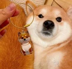 柴犬★けだまだま毛玉ケース★アクリルキーホルダー 新品のサムネイル