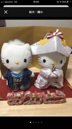 2025年最新】ウェルカムドール キティの人気アイテム - メルカリ