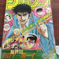 週刊少年ジャンプ 1995年 25号 ドラゴンボール 最終話