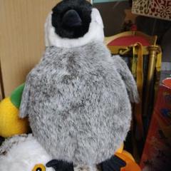 希少 サンアロー 皇帝ペンギン ぬいぐるみ　子供 赤ちゃん 32センチ 希少 サンアロー 皇帝ペンギン ぬいぐるみ 子供 赤ちゃん 32