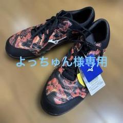 【2023年限定モデル】【新品】ミズノ　安全靴　27cmのサムネイル