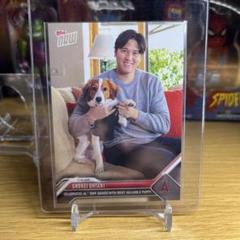 【美品8枚セット】大谷翔平 犬 カード　二刀流カード付きtopps 2025年最新】大谷翔平 カード デコピンの人気アイテム - メルカリ