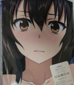 A4クリアファイル8枚セット　ストライクザブラッド　フルコンプ　未開封 s_ladonna_013_h1.jpg