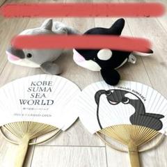 蓄光 イルカ ぬいぐるみ 須磨シーワールド セット 新品】須磨シーワールド イルカ蓄光骨格クッション 蓄光シャチ