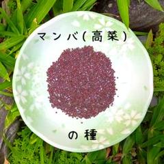 農薬:栽培期間中不使用】香川県産 マンバ(高菜)の種 - メルカリ