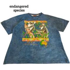 古着　半袖Ｔシャツ　スーベニア　アニマルＴシャツ　コアラ　オーストラリア　00s