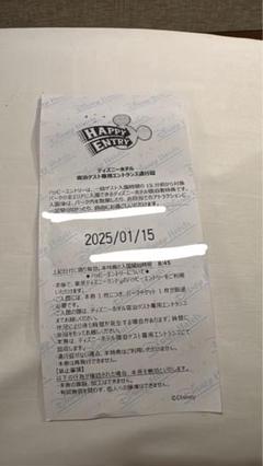 ハッピーエントリー　1/14 TDL 2枚 公式】ディズニーホテル宿泊者特典「ハッピーエントリー