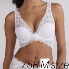 75B ブラジリアンS Flower Pailsey intimissimi