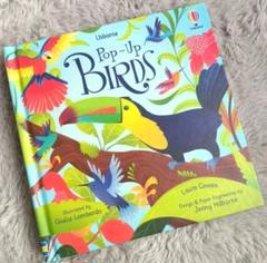 Usborne pop-up book Bird　しかけ絵本　英語絵本 Usborne pop-up book Bird しかけ絵本 英語絵本 - メルカリ