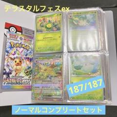2025年最新】ポケモンカードテラスタルフェスノーマル