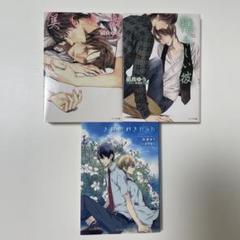 「美しい彼」「憎らしい彼」「きみが好きだった」凪良ゆう3冊セット