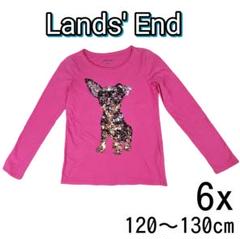 Lands'End(ランズエンド)ミニチュアピンシャースパンコール☆トップスのサムネイル