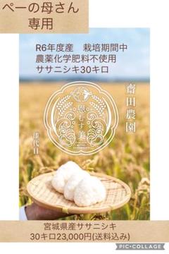 宮城県栗原産　ササニシキ　古古古古古米　３０キロ 宮城県栗原産ササニシキ古古古古古米30キロ