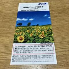 ANA グループ優待券　2025年上半期のサムネイル