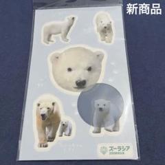 ホッキョクグマのグッズ7点セット/ズーラシア 2025年最新】ズーラシア グッズの人気アイテム - メルカリ