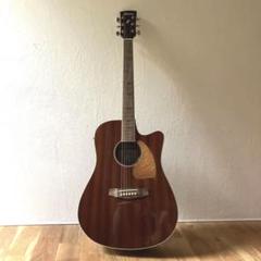 Ibanez エレアコギター　AEC24Ⅱ ソフトケース付美品1948-06-1 Ibanez エレアコギター AEC24Ⅱ ソフトケース付美品1948-06-1
