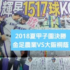 2018夏甲子園決勝 金足農業VS大阪桐蔭 日刊スポーツ - メルカリ