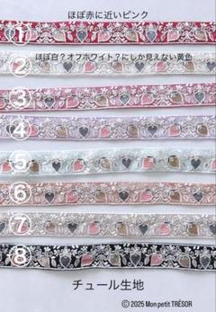 インド刺繍リボン　オリジナル　チュール
