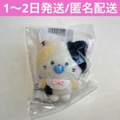 2025年最新】ZERONI ぬいぐるみ リッキーの人気アイテム - メルカリ