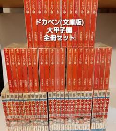 100%安い ■全48巻■文庫版『ドカベン』全31巻『大甲子園』全17巻■完結セット■水島新司 - 全巻セット