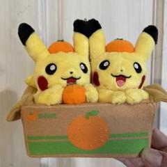 ポケモンピカチュウみかん愛媛限定ぬいぐるみ m88929292800_1.jpg?1719010291