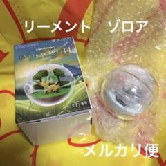 2025年最新】テラリウム ゾロアの人気アイテム - メルカリ